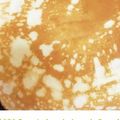 こどもレシピ's cooksnap of when they made 材料３つ！ホットケーキmixでクレープ.