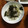 Ruriluru's cooksnap of when they made 毎日のしろごはん●ふりかけ＆もみ海苔丼.