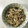 Ruriluru's cooksnap of when they made 鯖缶と玉ねぎのレンジ蒸し.