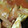 yikar1's cooksnap of when they made 生のトマトで！チキンと野菜のトマト煮込み.