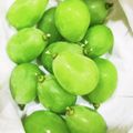 しーくれっと・らいふ's cooksnap of when they made 巨峰を長持ちさせる保存方法。お弁当にも！.