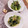 クックHG9V8Y☆'s cooksnap of when they made ちょっともう一品　きゅうりの酢味噌和え.