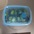 彩音ｍａｍａ's cooksnap of when they made 材料は２つだけ！きゅうりの塩昆布浅漬け.