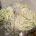 chou*'s cooksnap of when they made ２週間後でもパリッパリ♪キャベツの保存法.