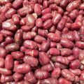 NicoPunk's cooksnap of when they made 活力鍋DEほの甘蒸し小豆♪.