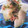 クックG1CG0C☆'s cooksnap of when they made 青瓜ときゅうりのさっぱり酢の物.