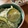 ☆ayumikan☆'s cooksnap of when they made ＊ズッキーニのおかかマヨ和え＊.