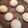 saki1010's cooksnap of when they made 天然酵母 ストレート法 丸パン.