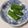きらり流れ星's cooksnap of when they made しそ巻き＊きゅうり.