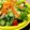食いしん坊あー's cooksnap of when they made 美肌♡にんにくレモン醤油ドレッシング.