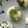 Ruriluru's cooksnap of when they made 残った漬物とゴマのおにぎり.