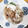 たけ2023's cooksnap of when they made ◆冷やし牛おろしうどん◆.
