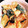クックUH3NVG☆'s cooksnap of when they made 簡単♪ズッキーニと厚揚げの揚げ浸し.
