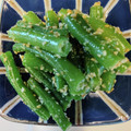 Lake☆Erie's cooksnap of when they made いんげんの胡麻和え.