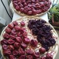 吉祥子's cooksnap of when they made 祖母直伝 塩分15％の梅干しの作り方.