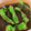 クックHDP0M2☆'s cooksnap of when they made 万願寺とうがらしの焼き浸し.