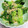 めみたん☆'s cooksnap of when they made ◎青梗菜の胡麻和え.