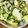 クックM96XDX☆'s cooksnap of when they made コーンとゆで卵のサラダ.