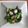 マスカット77's cooksnap of when they made 昆布茶で一味違う♪タコとキュウリの酢の物.