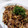 クックDECGNO☆'s cooksnap of when they made 簡単！美味♪豚こまとしめじの甘辛大葉炒め.