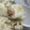 さんさとさん's cooksnap of when they made 丸ごと新玉ねぎとベーコンの炊き込みごはん.