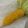 わたるんママ's cooksnap of when they made ☆簡単☆レンジDeとうもろこし☆.