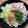 Tsumu's cooksnap of when they made 和風だしの即席梅豚そうめん.