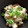 TYSK's cooksnap of when they made 話題入☆絶対レシピを聞かれる納豆の白和え.