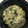 Ruriluru's cooksnap of when they made さば缶の美味しい汁で☆炊き込みごはん.