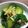 ニゲラ。's cooksnap of when they made あわ漬、漬け物.