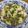 北京パンダ's cooksnap of when they made 夏を乗り切れ！ニラたっぷり麻婆豆腐.
