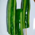うさこママ★'s cooksnap of when they made きゅうりの一本漬け.
