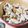 みょんとも4☆'s cooksnap of when they made 豚パラ肉のソース丼.