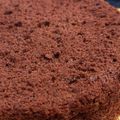 pio*'s cooksnap of when they made プロレシピ！チョコスポンジケーキの作り方.