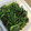 料理ニガテ系女子☆'s cooksnap of when they made ごま油が合う◎ほうれん草の塩昆布和え.