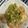 クック8SSYN0☆'s cooksnap of when they made 油淋鶏(ユーリンチー 鶏唐揚のネギだれ).