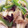 クックG1CG0C☆'s cooksnap of when they made 簡単！銀鮭と野菜の白だし炒め.