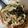 マイノート's cooksnap of when they made ツナとなめたけのスパゲティ.