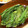 豆乳pudding's cooksnap of when they made ささげ(いんげん)ニンニク.