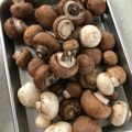 Ruriluru's cooksnap of when they made マッシュルームの下ごしらえ.