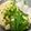 クックNMZI0F☆'s cooksnap of when they made 一玉分から作れる☆混ぜるだけ冷うどんつゆ.