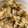 クック5POO64☆'s cooksnap of when they made あさりとごぼうの炊き込みご飯.