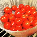 ダッフィーニーうに's cooksnap of when they made 救済！シワシワミニトマトの復活裏技☆.
