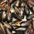 アリエちゃん's cooksnap of when they made 468食材■ムール貝のワイン蒸し.