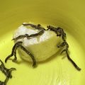 bktkr's cooksnap of when they made 塩昆布＆カマンベールだけ。。【おつまみ】.