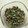 Ruriluru's cooksnap of when they made 簡単・ねぎ塩の豚そぼろ丼.