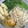 クック5POO64☆'s cooksnap of when they made 白だし使って♪うどんつゆ.
