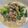 よによ's cooksnap of when they made お家で簡単タンタン麺風.