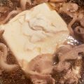 mamama006's cooksnap of when they made 【レンジで1発】ポーク湯豆腐.
