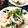 クック☆やーっ！'s cooksnap of when they made 冷奴薬味沢山、旨味たくさん.